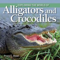 Cover image for Exploring the World of Alligators and Crocodiles