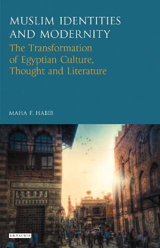 Cover image for Muslim Identities and Modernity: The Transformation of Egyptian Culture, Thought and Literature