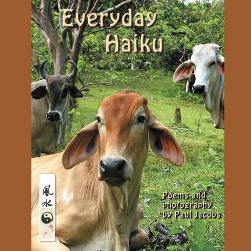 Cover image for Everyday Haiku