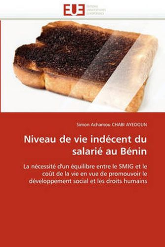 Cover image for Niveau de Vie Ind Cent Du Salari Au B Nin