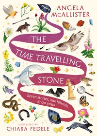 Cover image for The Time Travelling Stone