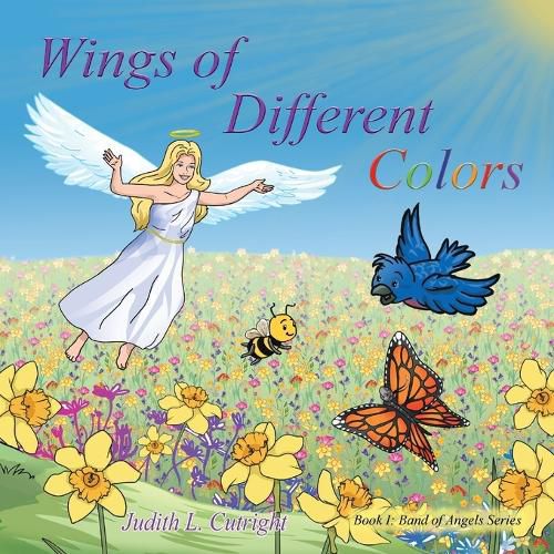 Cover image for Wings of Different Colors