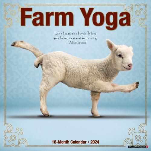 Farm Yoga 2024 12 X 12 Wall Calendar, Willow Creek Press (9781549233487