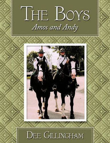 Cover image for The Boys: Amos and Andy