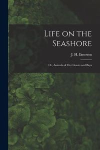 Cover image for Life on the Seashore: or, Animals of Our Coasts and Bays