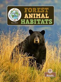 Cover image for Forest Animal Habitats
