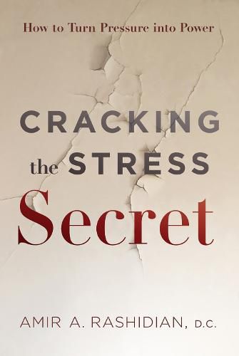 Cover image for Cracking the Stress Secret: How to Turn Pressure Into Power