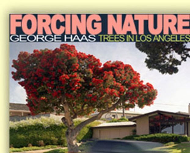 Forcing Nature: Trees in Los Angeles