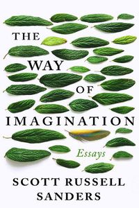 Cover image for The Way Of Imagination: Essays
