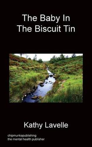 Cover image for The Baby in the Biscuit Tin