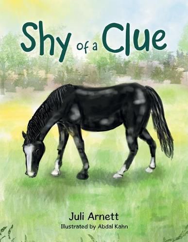 Cover image for Shy of a Clue