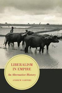 Cover image for Liberalism in Empire: An Alternative History
