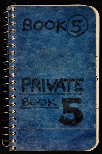 Cover image for Lee Lozano - Private Book 5