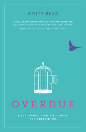 Cover image for Overdue: Birth, burnout and a blueprint for a better NHS