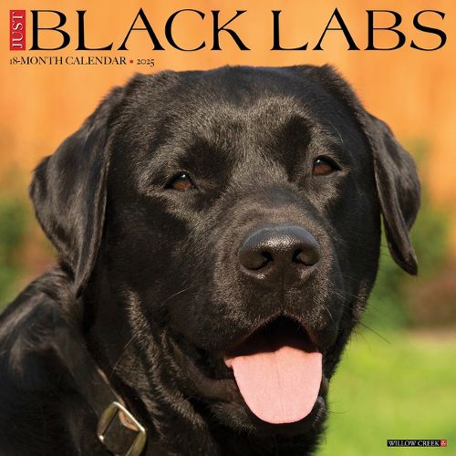 Cover image for Black Labs 2026 12 X 12 Wall Calendar