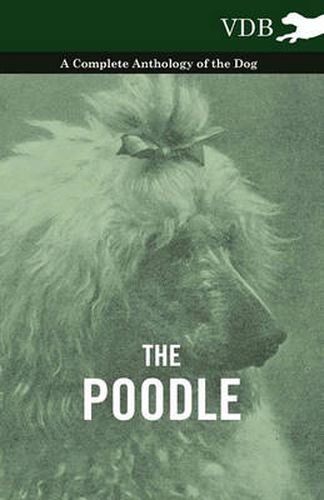 Cover image for The Poodle - A Complete Anthology of the Dog