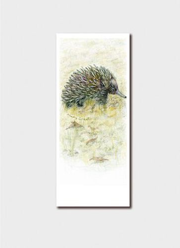 Cover image for Echidna Migalu Yalingbilla Bookmark Card