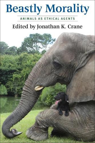 Cover image for Beastly Morality: Animals as Ethical Agents