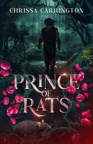 Cover image for Prince of Rats