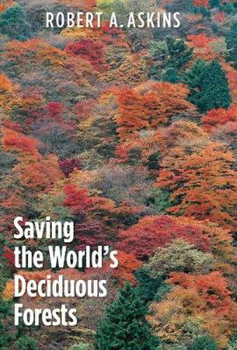 Cover image for Saving the World's Deciduous Forests: Ecological Perspectives from East Asia, North America, and Europe