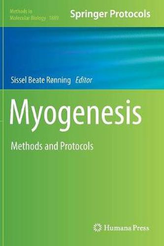 Cover image for Myogenesis: Methods and Protocols