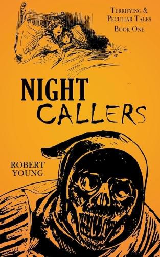 Cover image for Night Callers