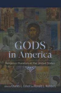 Cover image for Gods in America: Religious Pluralism in the United States