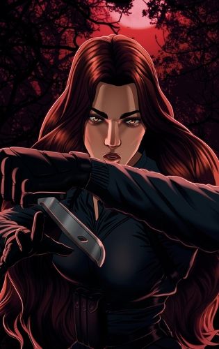 Cover image for The Order