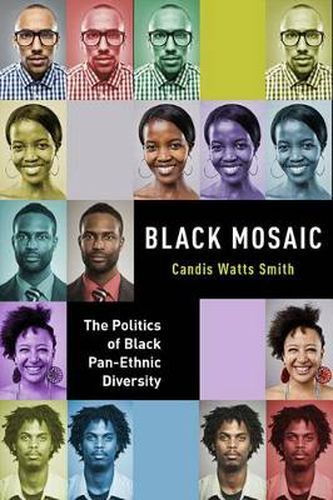 Cover image for Black Mosaic: The Politics of Black Pan-Ethnic Diversity