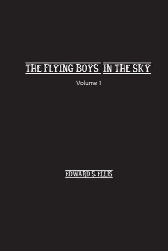 Cover image for The Fly Boys in the Sky