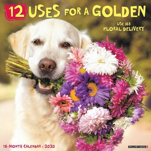 Cover image for 12 Uses for a Golden 2020 Wall Calendar (Dog Breed Calendar)