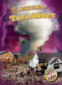 Cover image for Tornadoes