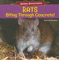 Cover image for Rats: Biting Through Concrete!