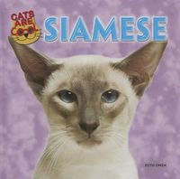 Cover image for Siamese