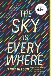 Cover image for The Sky Is Everywhere