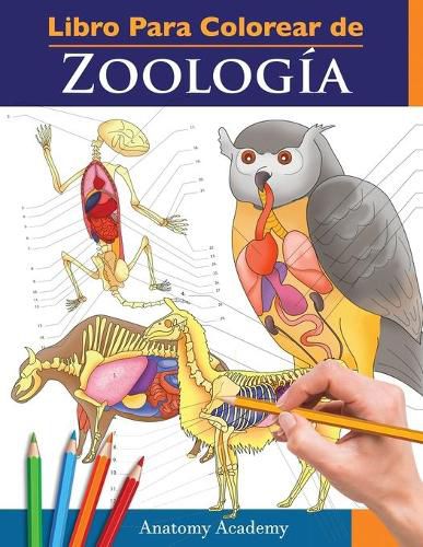 Cover image for Libro Para Colorear de Zoologia: Libro de Colores de Autoevaluacion Muy Detallado de la Anatomia Animal El Regalo perfecto para Estudiantes de Veterinaria y Amantes de los Animales