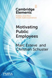 Cover image for Motivating Public Employees