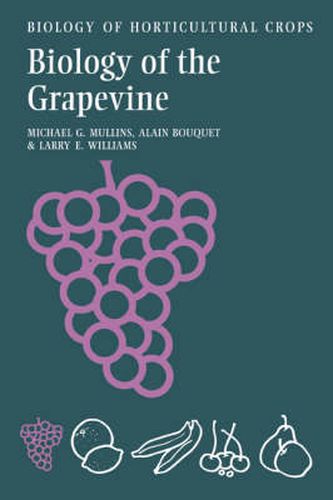 Cover image for Biology of the Grapevine