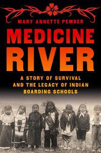 Cover image for Medicine River