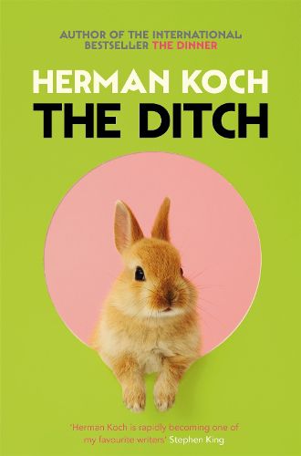 Cover image for The Ditch