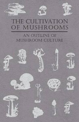 Cover image for The Cultivation Of Mushrooms - An Outline Of Mushroom Culture