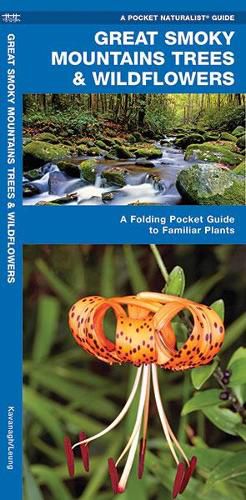 Cover image for Great Smoky Mountains Trees & Wildflowers: A Folding Pocket Guide to Familiar Plants