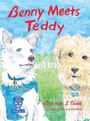 Cover image for Benny Meets Teddy