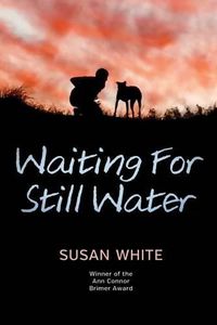 Cover image for Waiting for Still Water