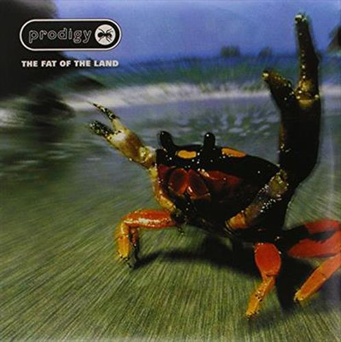 Cover image for Fat Of The Land *** Vinyl