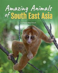 Cover image for Animals of South-East Asia