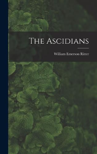 The Ascidians