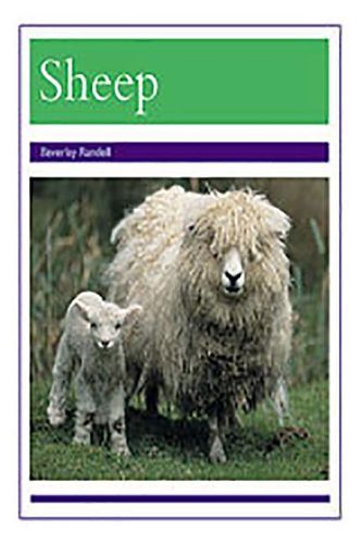 Cover image for Animals - Sheep: Individual Student Edition Purple (Levels 19-20)