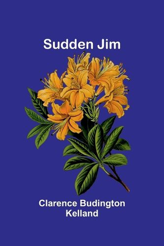 Cover image for Sudden Jim