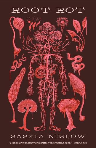 Cover image for Root Rot